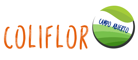 coliflor-megafrescos